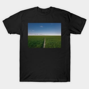 footpath piercing a wheat field T-Shirt